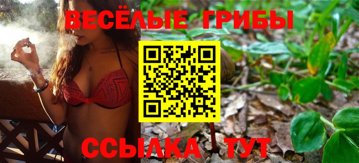 Галлюциногенные грибы Psilocybine cubensis Химки